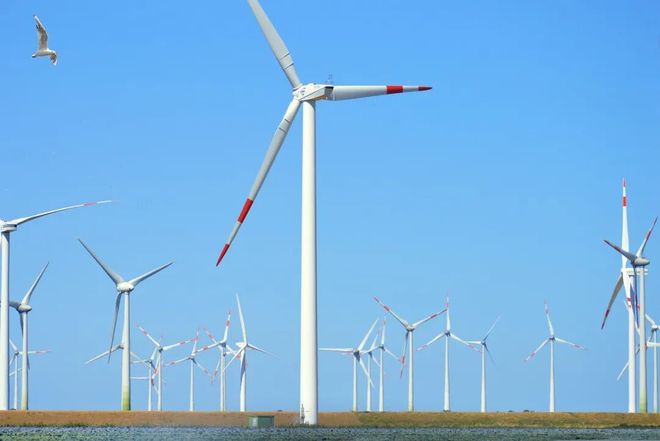 站比尔·盖茨投降了尊龙凯时·中国网(图7)